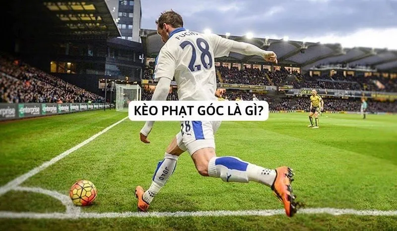 Kèo phạt góc: Khái niệm và cách bắt kèo đỉnh cao 1 Kèo góc hay kèo phạt góc phổ biến tại các nhà cái